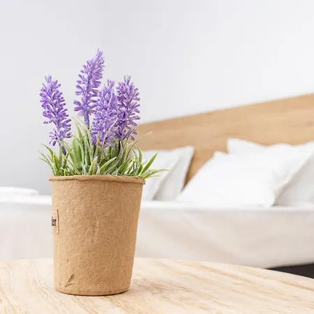 Aparthotel Primorsko Apartmán 4*