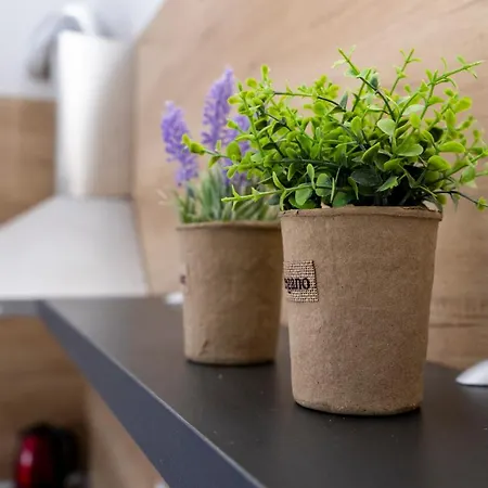 Aparthotel Primorsko 4*