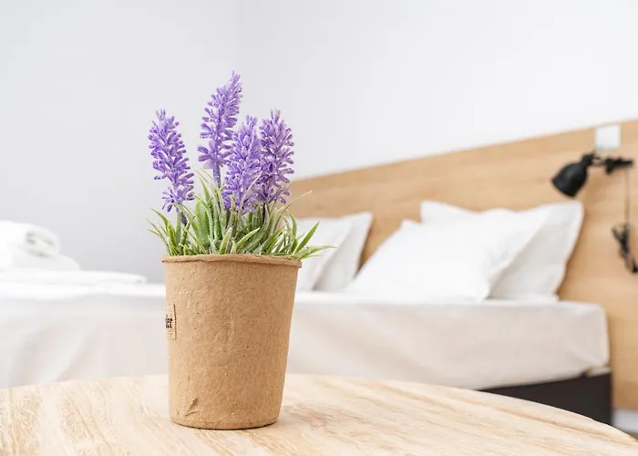 Aparthotel Primorsko Apartmán 4*