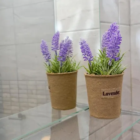 Apartamento Aparthotel Primorsko 4*